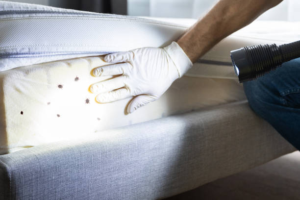 Best Pest Prevention Services  in Highlands, NC