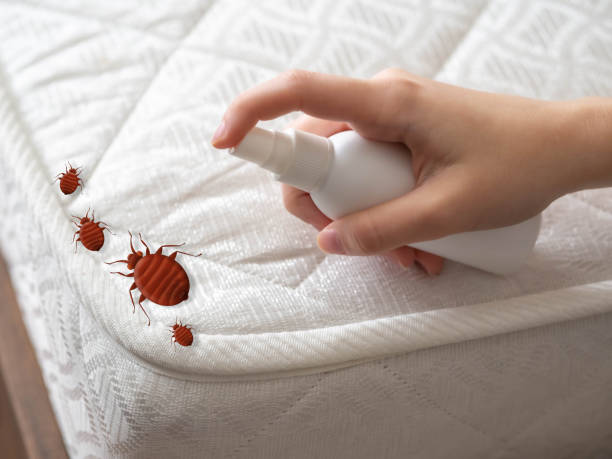 Best Best Pest Control Companies  in Highlands, NC