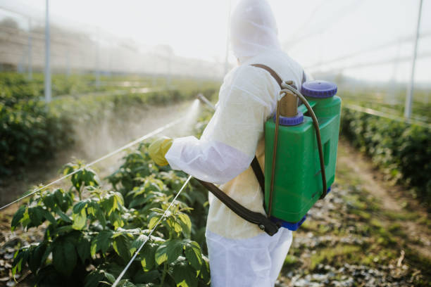 Best Residential Pest Control  in Highlands, NC